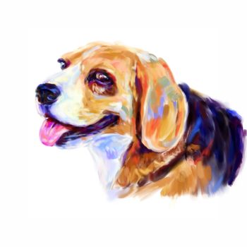 Digital painting portrait of beagle dog on white background.