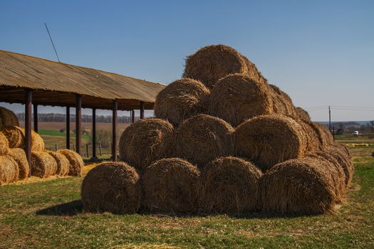 Yellow straw packed in coils, blue sky on background