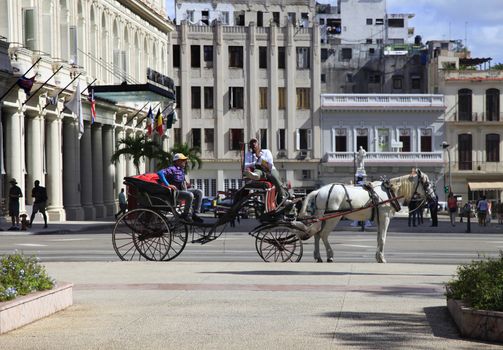 Havana, Cuba - January 10, 2019: Cuban man runs a horse and carriage on the streets of Havana. Cuba