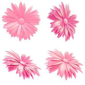 Set of Light Pink Flowers isolated on white background. 3d illustration