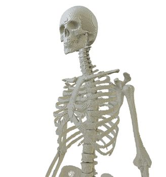 3d printed skeleton isolated on white background. 3D illustration