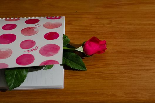 rose in the book  romantic and valentine day