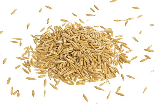 Pile of oat seeds isolated on white background, top view, grain of oats