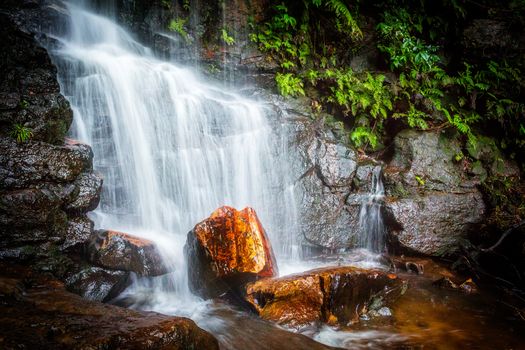 Edith Falls, Valley of the Waters creek, Blue Mountains Australia