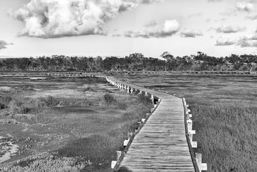 View from the boardwalk to the Geelbek Bird Hide on the Langebaan Lagoon on the Atlantic Ocean coast of the Western Cape Province. Monochrome
