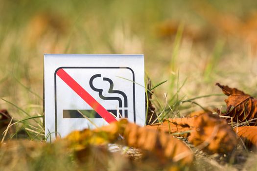 No smoking sign in the nature with autumn leaves in the sun