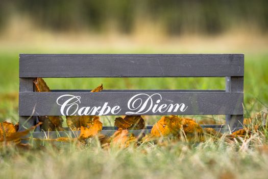 Wooden box with the phrase Carpe Diem in autumn nature