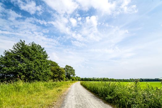 Rural landscape with a nature trail surrounded by fields and meadows in the summer