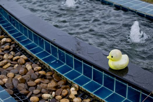 Mini duck doll by at edge of pool