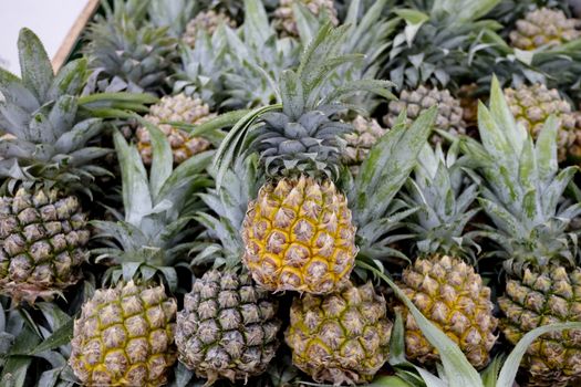 pineapples in market