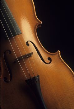 Close-up of a wooden violin