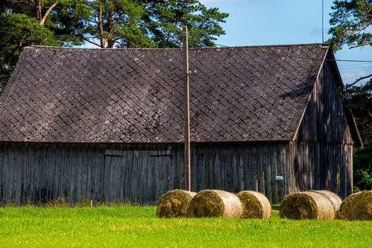 Hay bale lying on the green meadow at the barn. Hay bales on the field near the barn. Freshly rolled hay bales at the barn in Latvia.