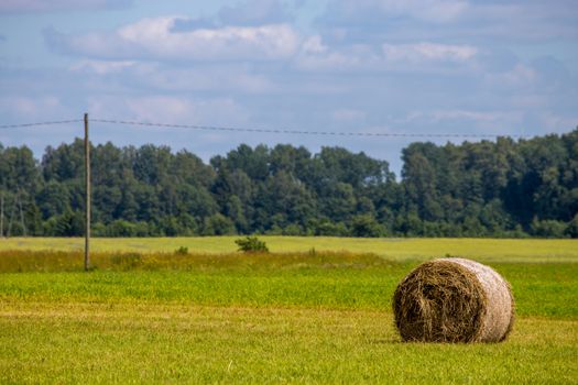 Hay bale lying on the green meadow, on forest and  blue sky background.  Hay bales on the field after harvest in morning. Freshly rolled hay bales on field in Latvia. 