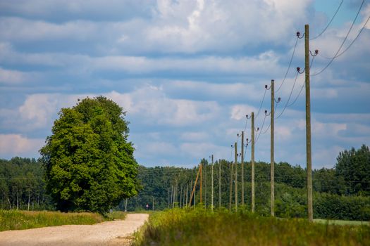 Summer landscape with empty road, trees and blue sky. Electrical poles next to the road. Rural road, cornfield, wood and cloudy blue sky. Classic rural landscape in Latvia.