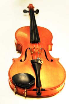 1937 old violin in studio close up