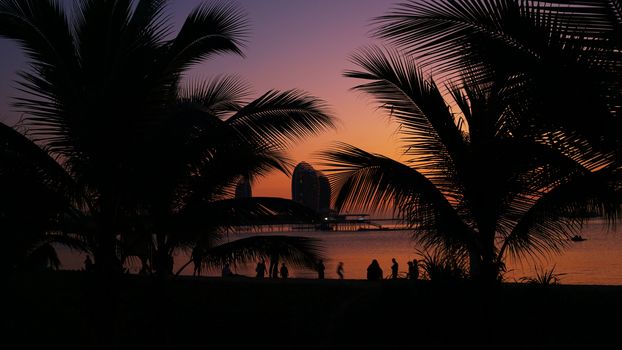 Silhouette of people on tropical beach at sunset - Tourists enjoying time in summer vacation - Travel, holidays and landscape concept - Focus on palm tree. Hainan, Sanya.