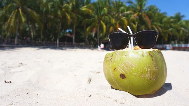 Green funny coconut in sun glasses on white sandy beach, summer travel concept background.