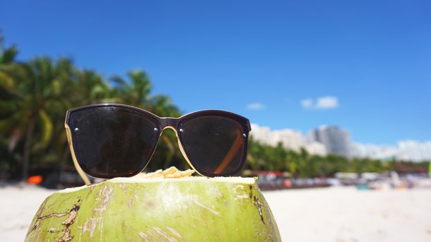 Green funny coconut in sun glasses on white sandy beach, summer travel concept background.