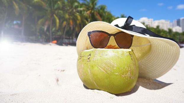 Green funny coconut in sun glasses on white sandy beach, summer travel concept background.