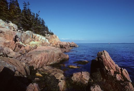 Landscape of the rocky coastline along the Maine shore