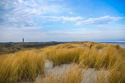 Sand dunes with dune grass at Northern Sea of Europe in Netherlands