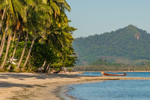 Palm trees at paradise like sand beach in Thailand 3