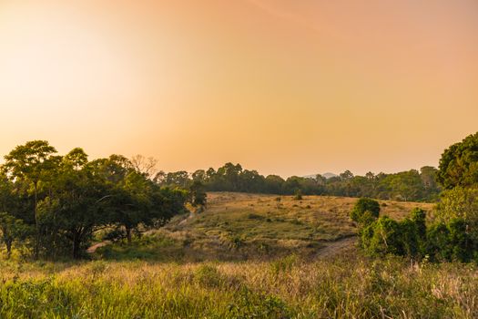 Sunset over tropical savannah landscape, orange yellow lighting