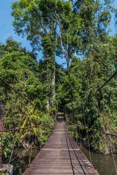Wooden suspension bridge leading in tropical jungle_