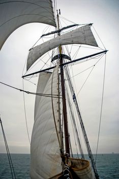 Sailing boat on Northern Sea sails wind water