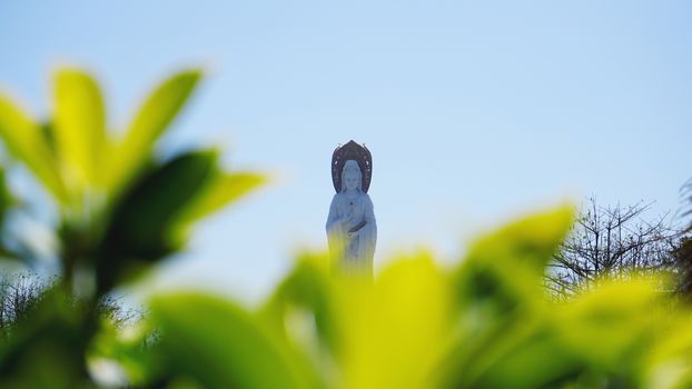 Buddhist Park, open space, many statues and beautiful places on the island of Sanya. Centre of culture and religion.