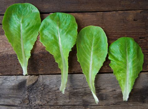 fresh organic lettuce on a dark wooden background.