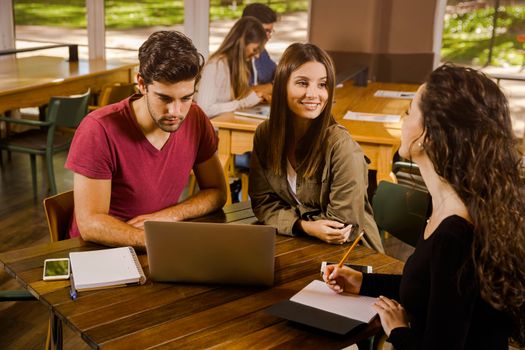 Group of friends studying together for finals