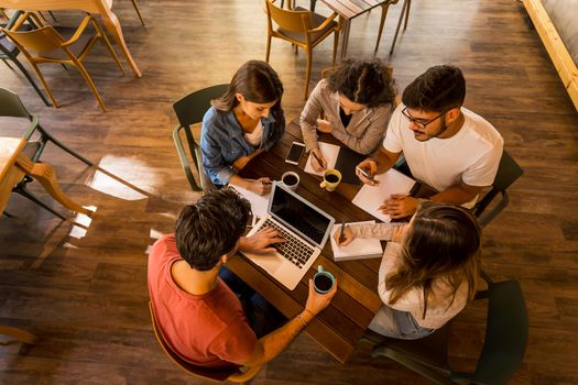 Group of friends studying together for finals