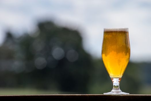 Glass of light beer with foam and bubbles on wooden table on nature background. Beer is an alcoholic drink made from yeast-fermented malt flavoured with hops.

