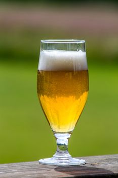 Glass of light beer with foam and bubbles on wooden table on green nature background. Beer is an alcoholic drink made from yeast-fermented malt flavoured with hops. 

