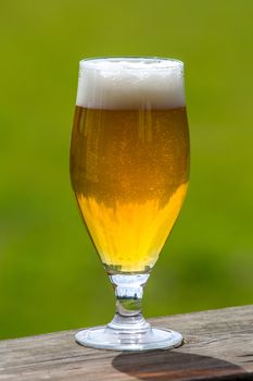 Glass of light beer with foam and bubbles on wooden table on green nature background. Beer is an alcoholic drink made from yeast-fermented malt flavoured with hops. 

