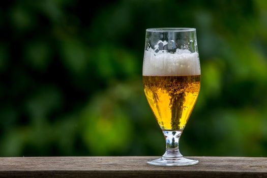 Glass of light beer with foam and bubbles on wooden table on green nature background. Beer is an alcoholic drink made from yeast-fermented malt flavoured with hops.

