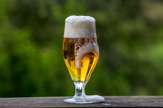 Glass of light beer with foam and bubbles on wooden table on green nature background. Beer is an alcoholic drink made from yeast-fermented malt flavoured with hops.

