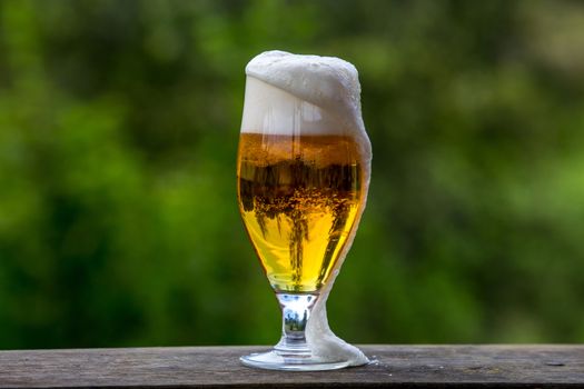 Glass of light beer with foam and bubbles on wooden table on green nature background. Beer is an alcoholic drink made from yeast-fermented malt flavoured with hops.

