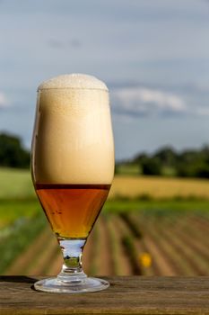 Glass of light beer with foam and bubbles on wooden table on summer landscape background. Beer is an alcoholic drink made from yeast-fermented malt flavoured with hops. 

