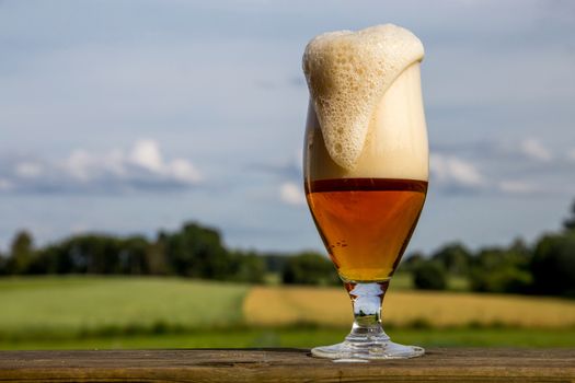 Glass of light beer with foam and bubbles on wooden table on summer landscape background. Beer is an alcoholic drink made from yeast-fermented malt flavoured with hops. 

