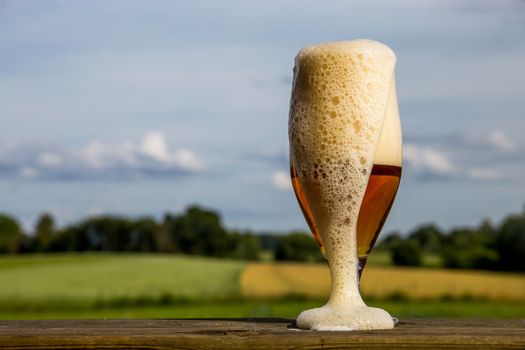 Glass of light beer with foam and bubbles on wooden table on summer landscape background. Beer is an alcoholic drink made from yeast-fermented malt flavoured with hops. 

