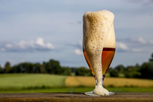 Glass of light beer with foam and bubbles on wooden table on summer landscape background. Beer is an alcoholic drink made from yeast-fermented malt flavoured with hops. 

