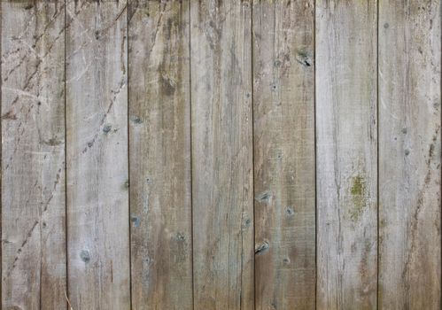 Distressed wooden wall background with weathered boards with scrapes and algae