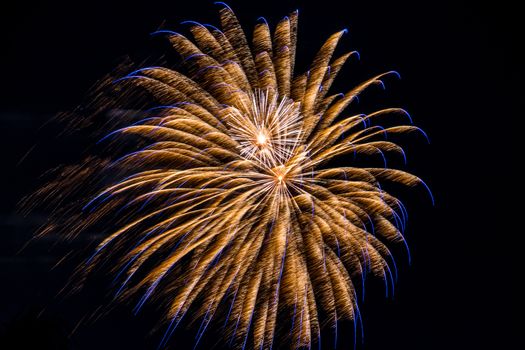 Firework fireworks celebration blue spikes gold white blasts