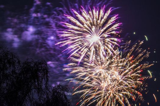 Firework fireworks celebration gold red purple blasts tree