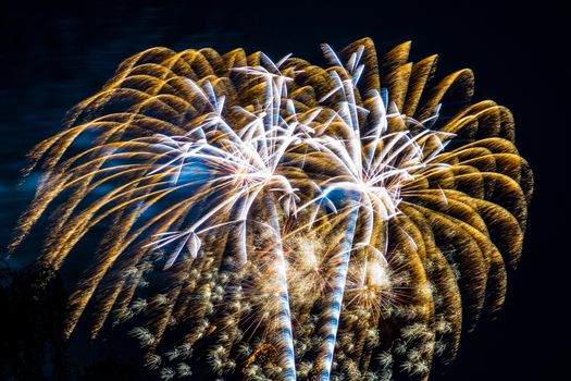 Firework fireworks celebration gold white blasts