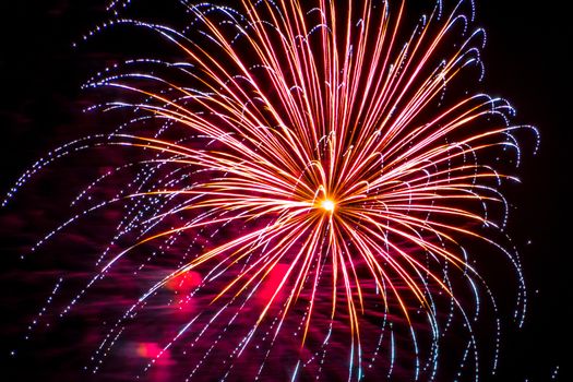 Firework fireworks celebration blue spikes red purple yellow