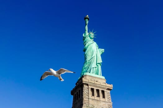 Pigeon in front of Statue of Liberty at perfect weather conditions blue sky copper