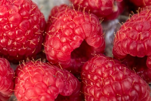 Close up shot of red raspberries harvested